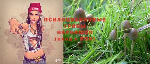 дживик Осташков