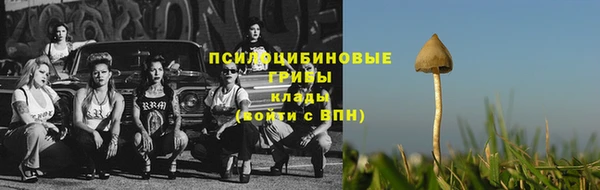 спиды Алексин
