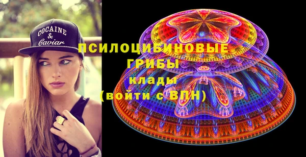 дживик Осташков