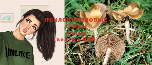 спиды Алексин
