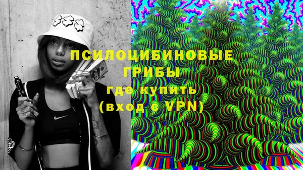 спиды Алексин
