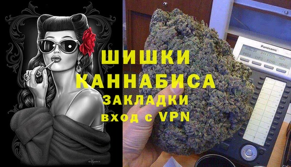 индика Алексеевка